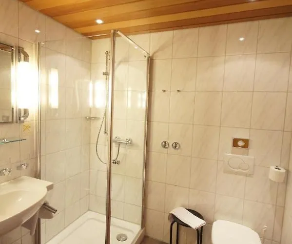 Отель Parkhotel Meyle Gmbh Битигхайм-Биссинген